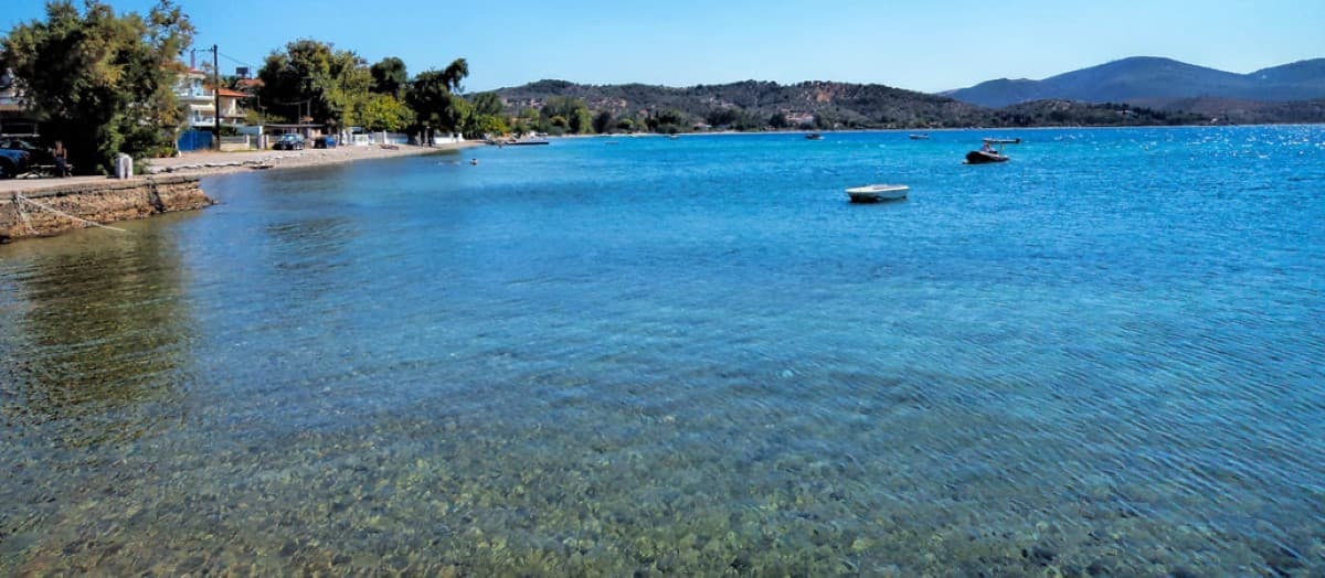 For Sale Land 64000 m² on the Euboea island