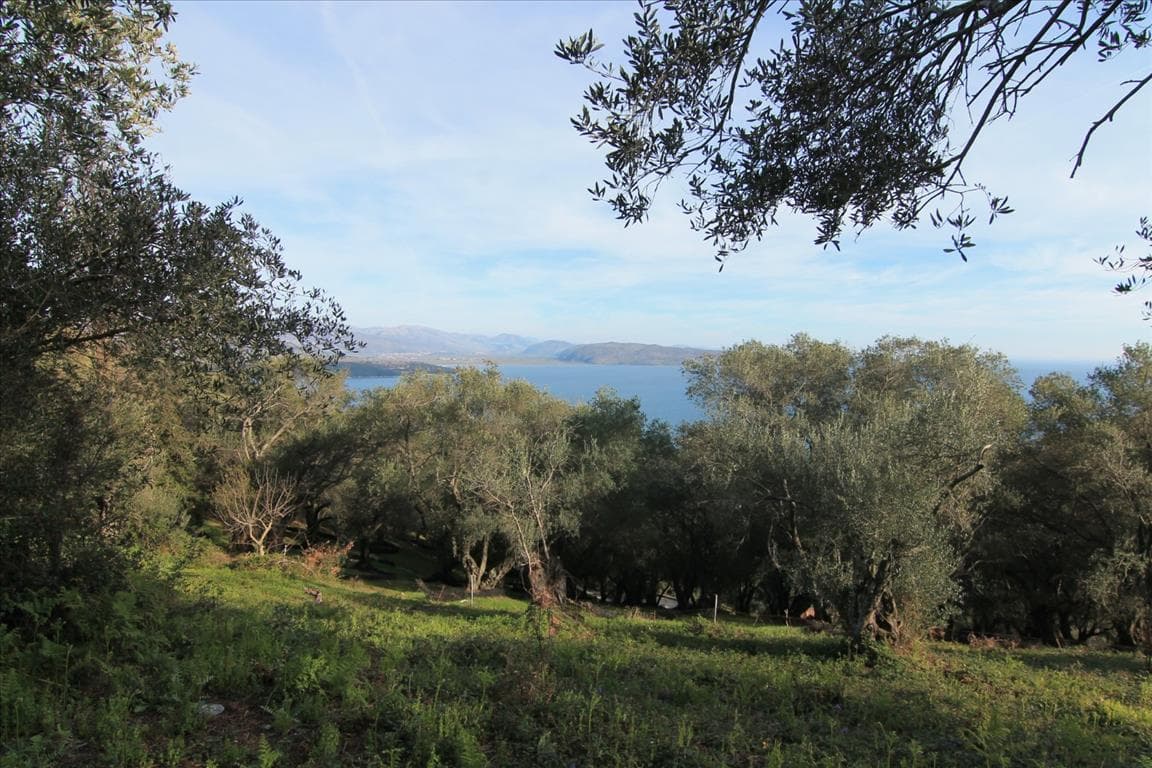 For Sale Land 2400 m² in Corfu