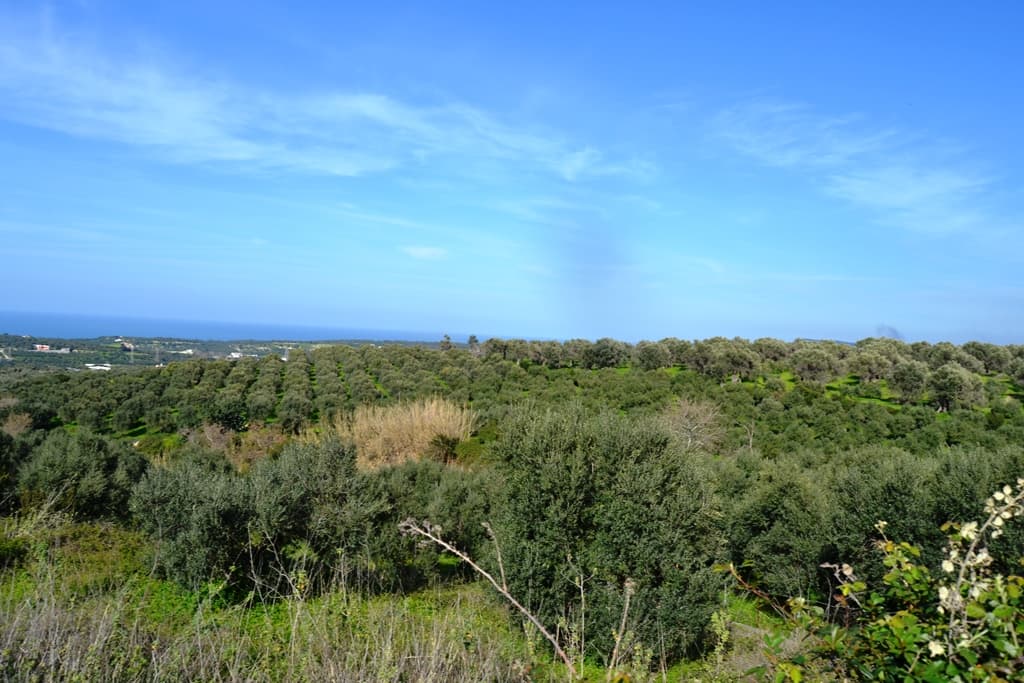 For Sale Land 5500 m² in Crete