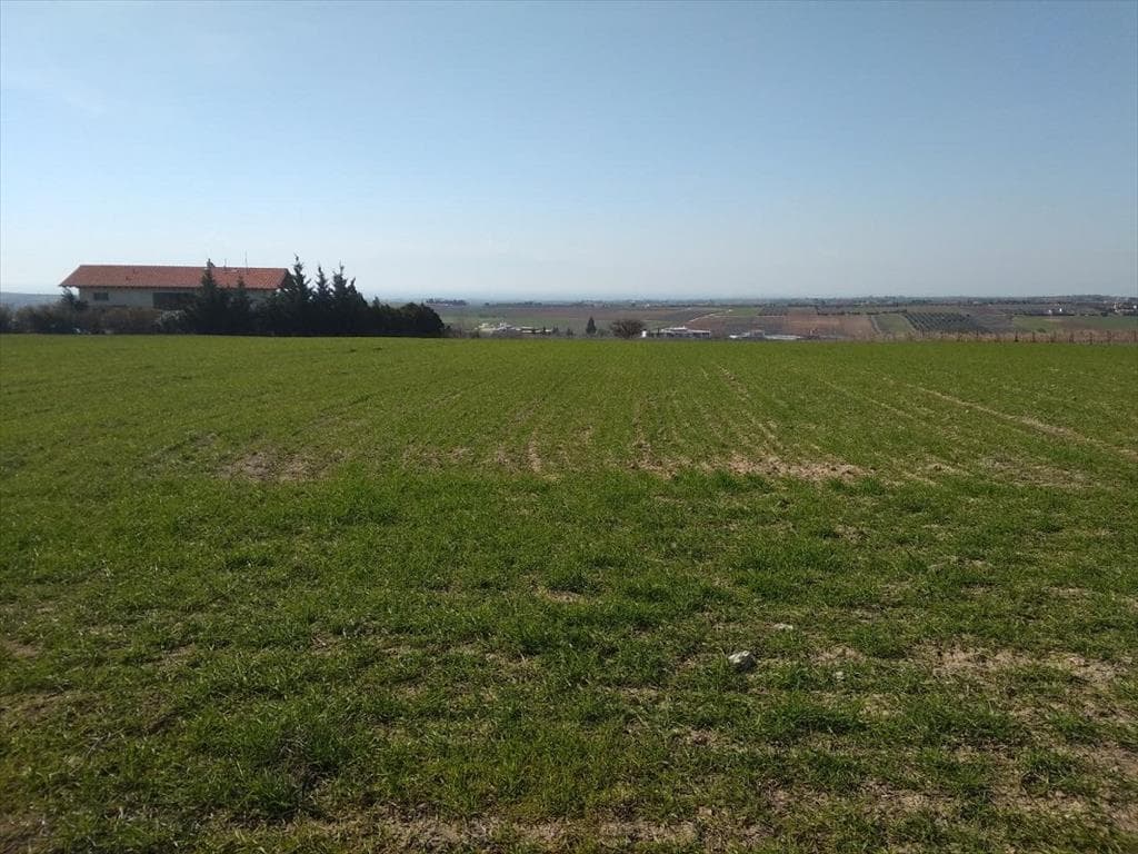 For Sale Land 6100 m² in the suburbs of Thessaloniki