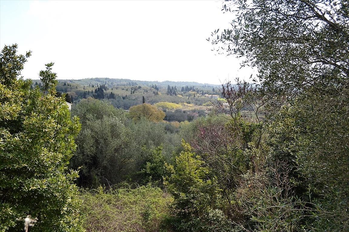 For Sale Land 4370 m² in Corfu