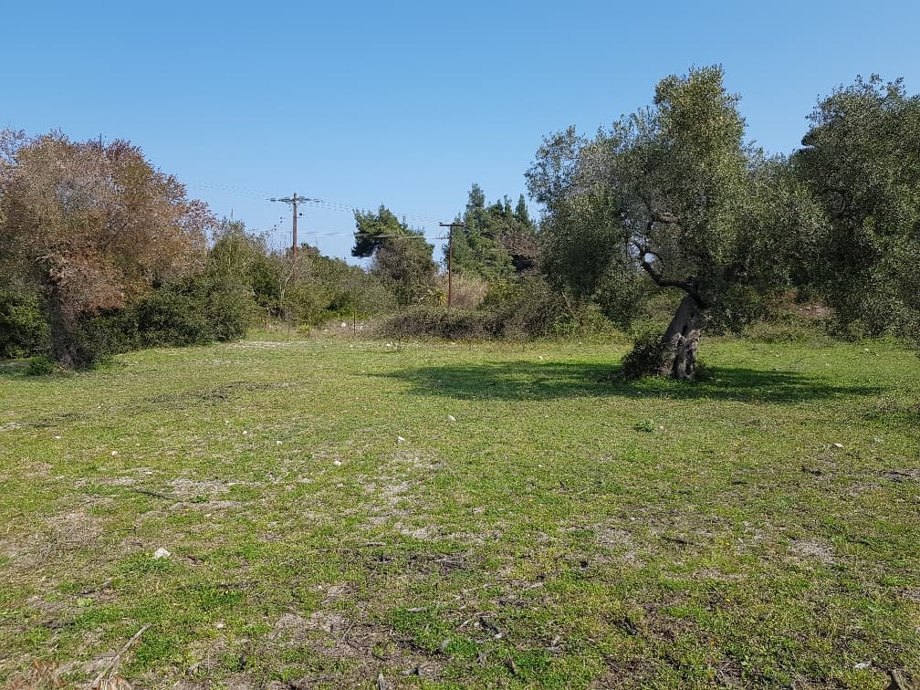 For Sale Land 4300 m² in Kassandra, Chalkidiki