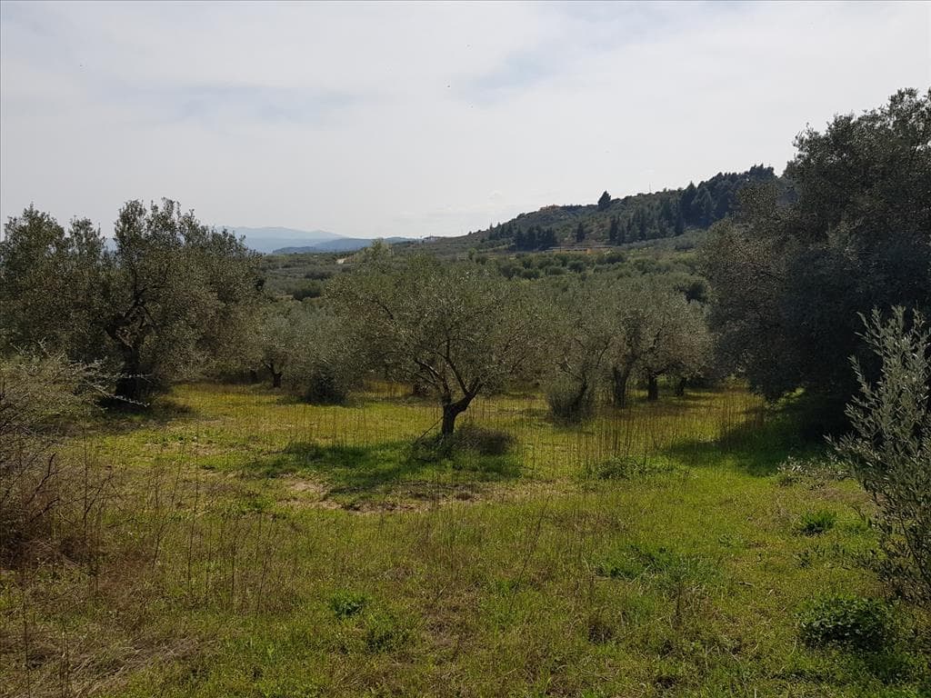 For Sale Land 1800 m² in Sithonia, Chalkidiki