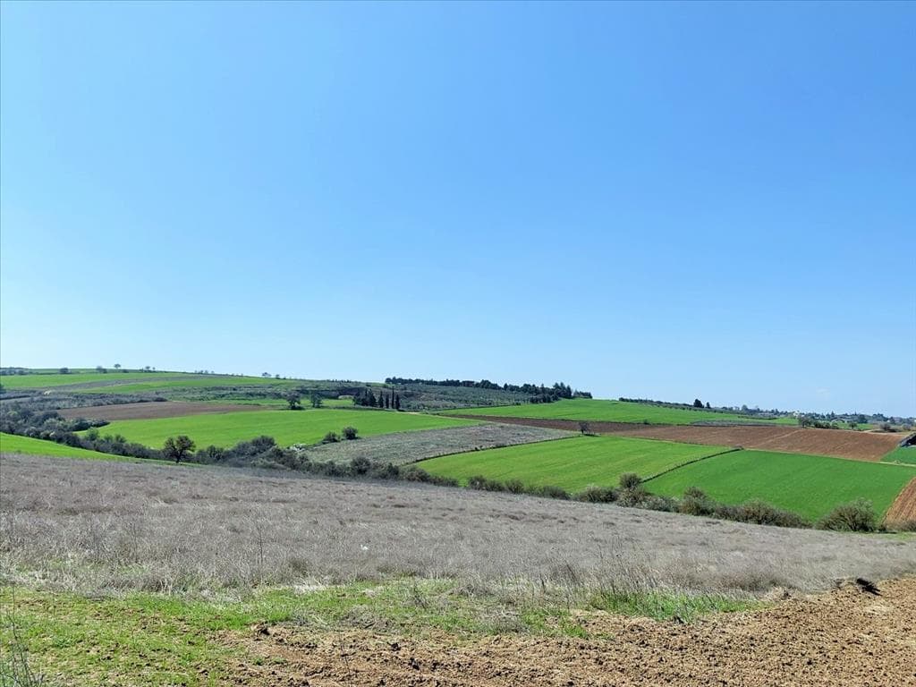 For Sale Land 22000 m² in the suburbs of Thessaloniki