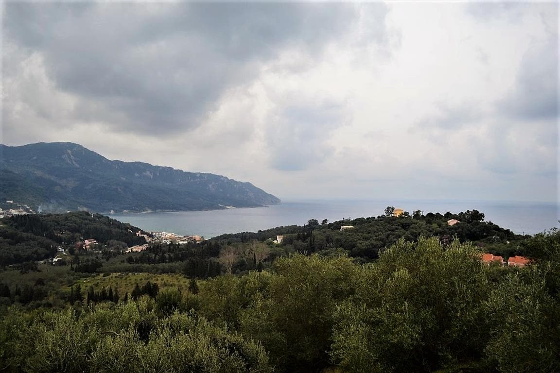 For Sale Land 6000 m² in Corfu