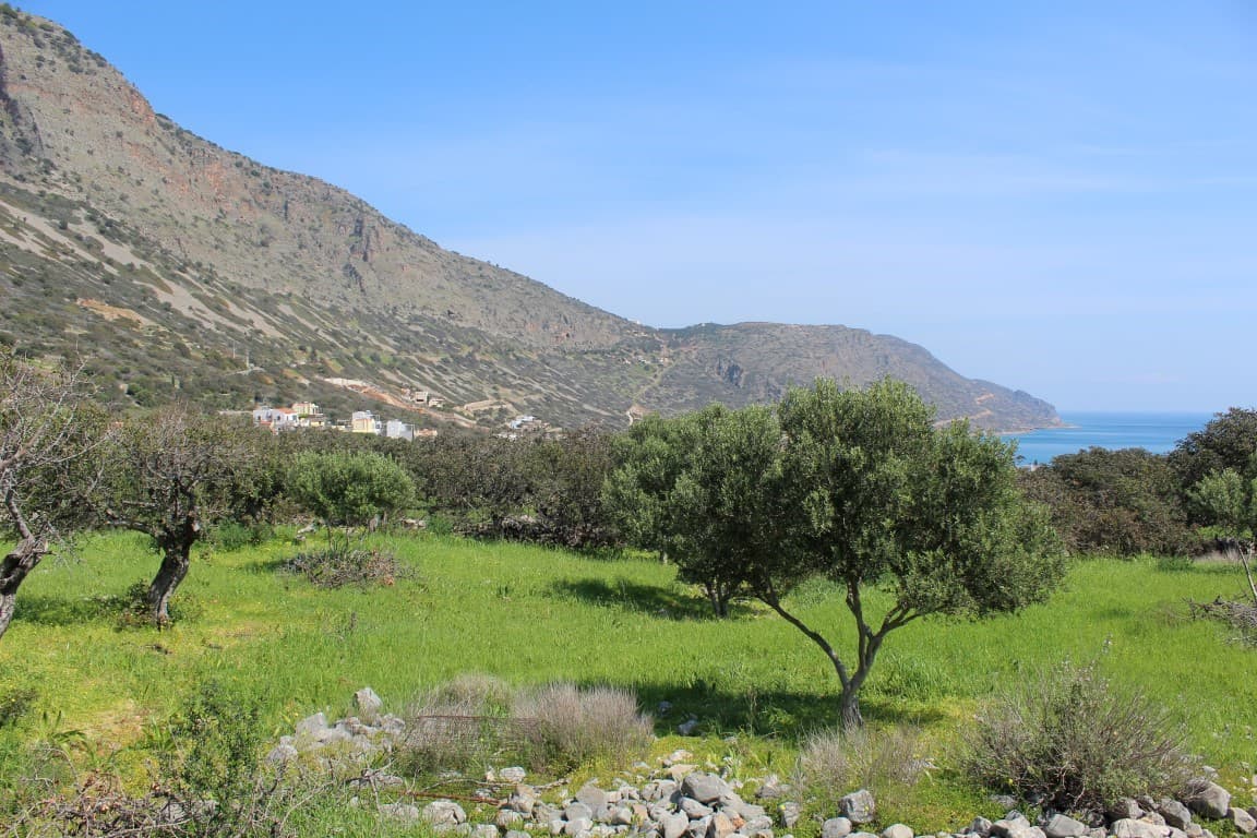 For Sale Land 5889 m² in Crete