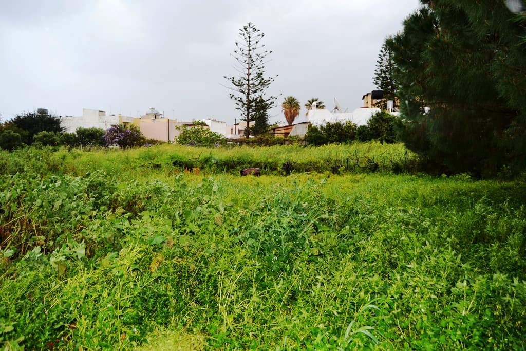 For Sale Land 1450 m² in Crete