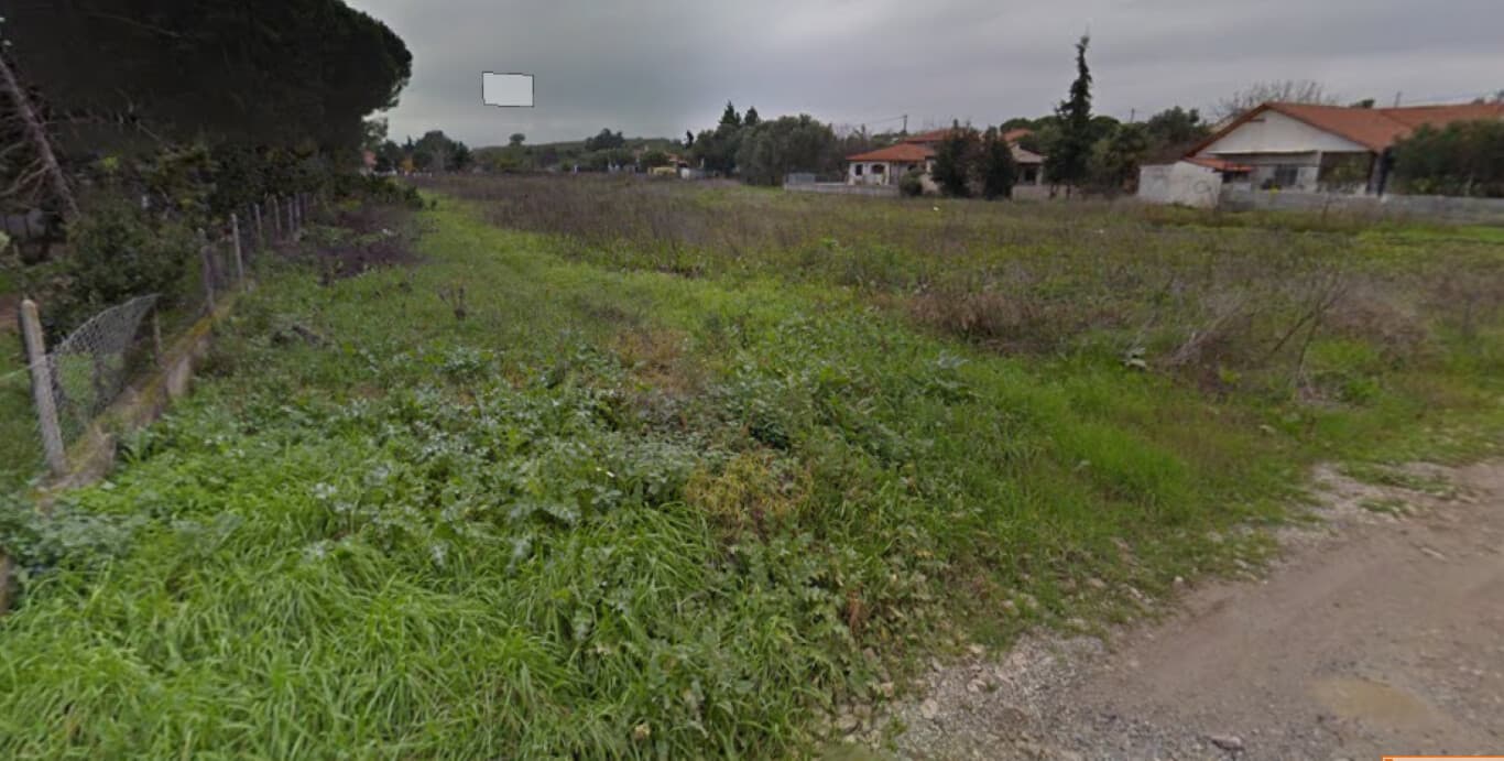 For Sale Land 6560 m² in Chalkidiki