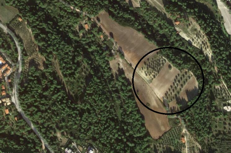 For Sale Land 34000 m² in Kassandra, Chalkidiki