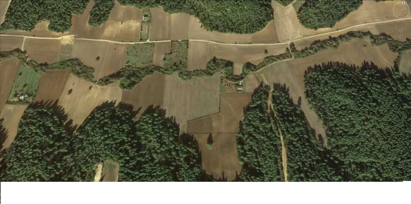 For Sale Land 8000 m² in Kassandra, Chalkidiki