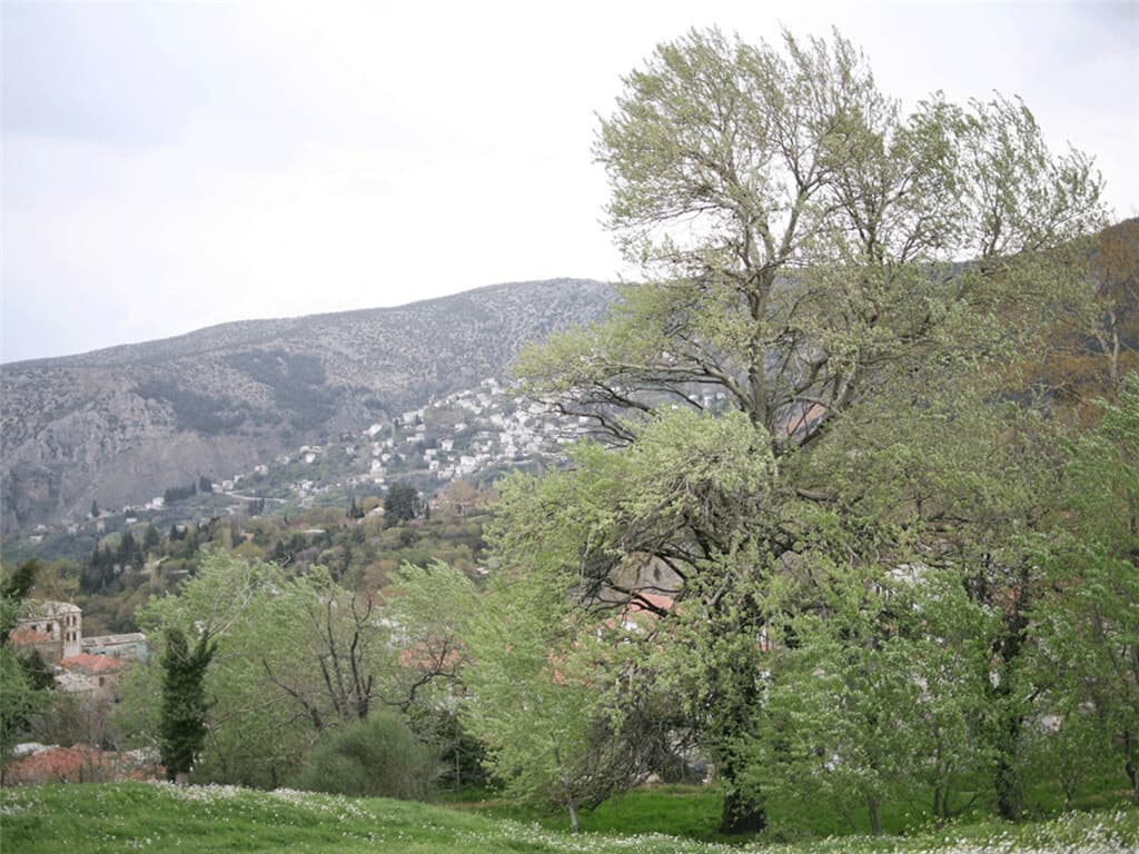 For Sale Land 3617 m² in Volos-Pilio