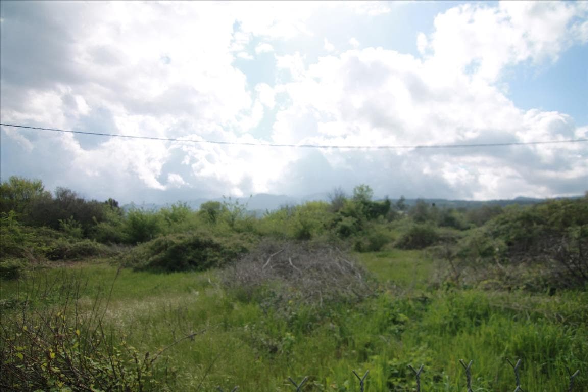 For Sale Land 4862 m² in Corfu