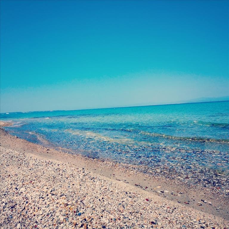 For Sale Land 17175 m² in Kassandra, Chalkidiki