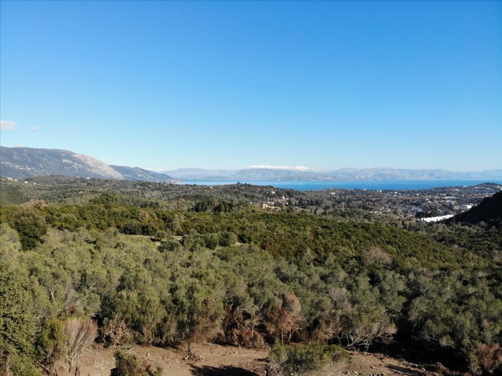For Sale Land 5000 m² in Corfu