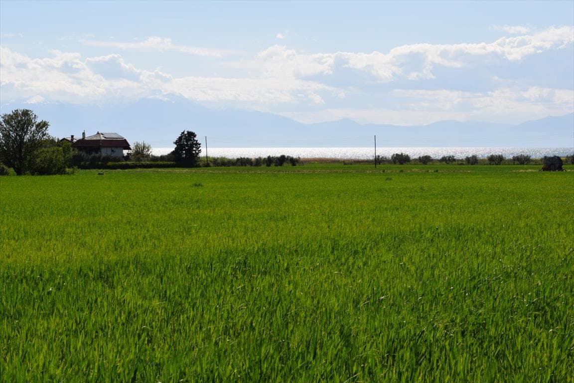 For Sale Land 27000 m² in the suburbs of Thessaloniki