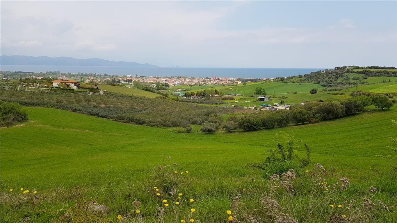 For Sale Land 18000 m² in Athos, Chalkidiki