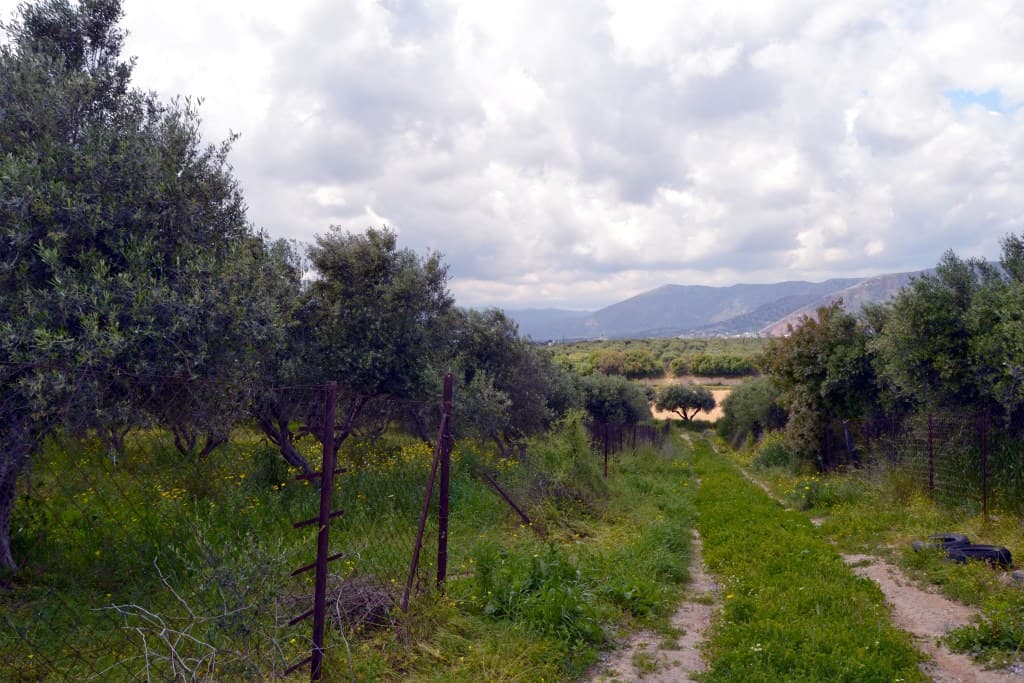For Sale Land 4500 m² in Crete