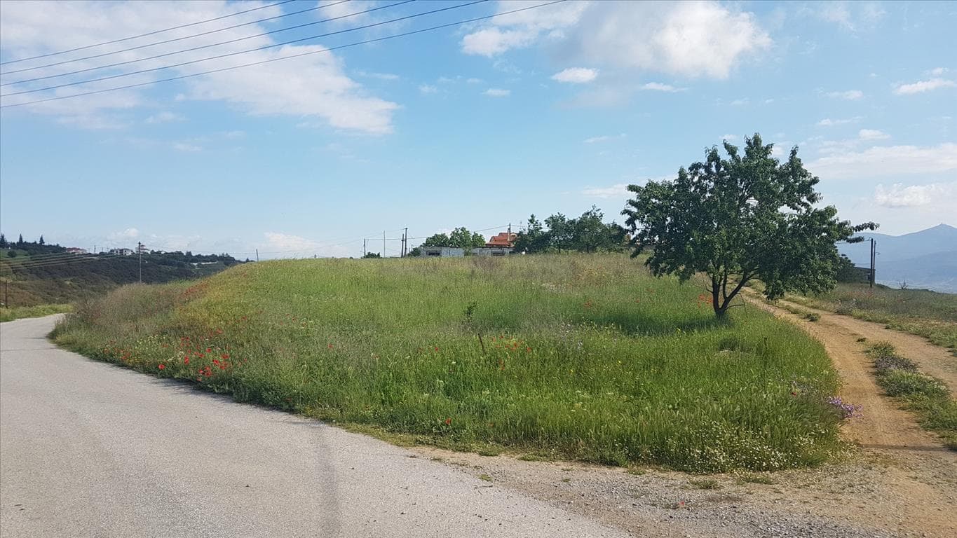 For Sale Land 1650 m² in the suburbs of Thessaloniki