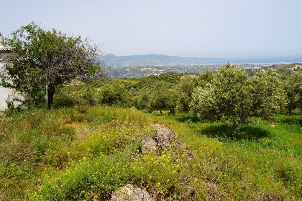 For Sale Land 2900 m² in Crete