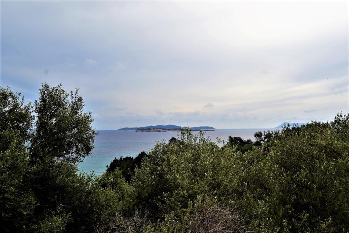 For Sale Land 5000 m² in Corfu