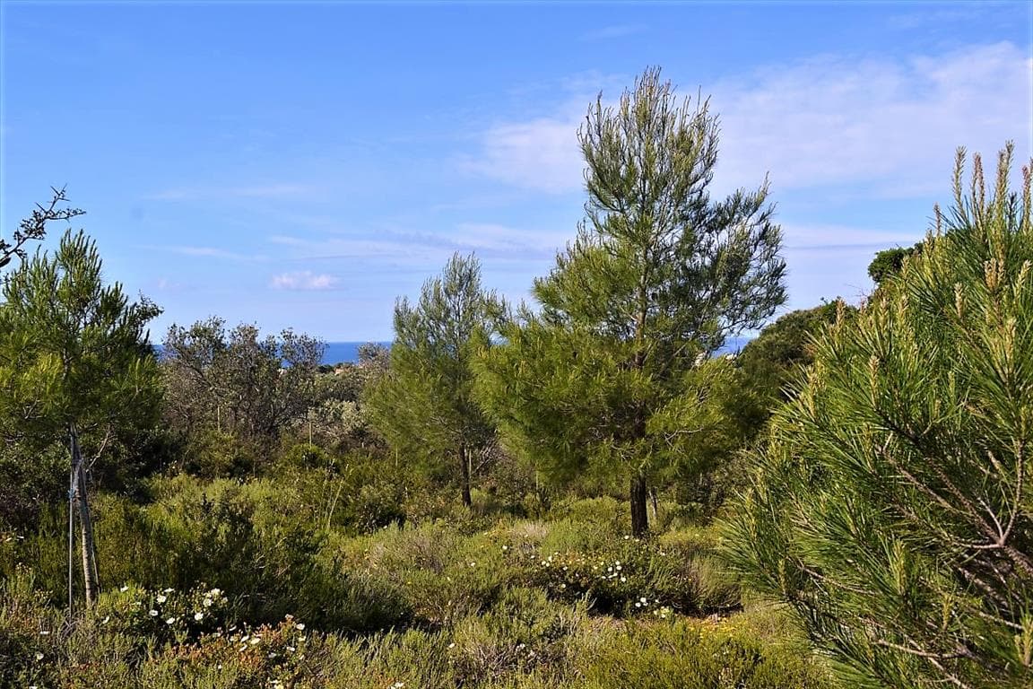 For Sale Land 12000 m² in Corfu