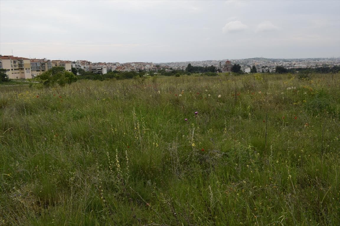 For Sale Land 4960 m² in Thessaloniki