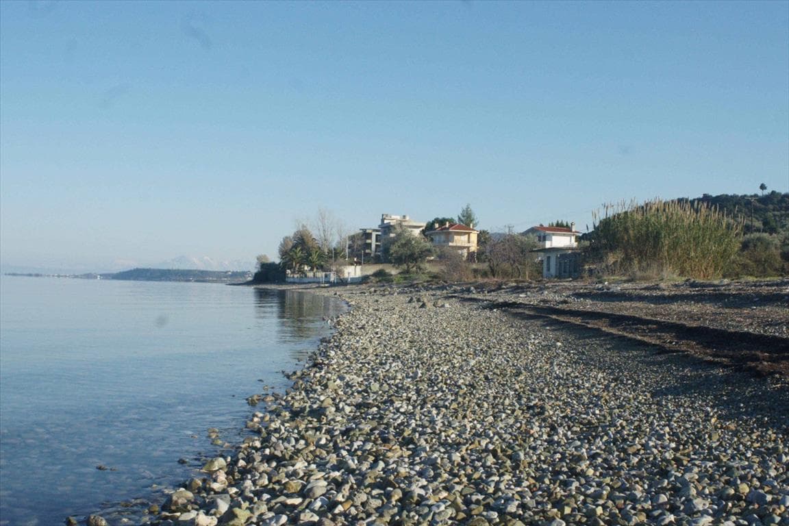 For Sale Land 30000 m² in central Greece