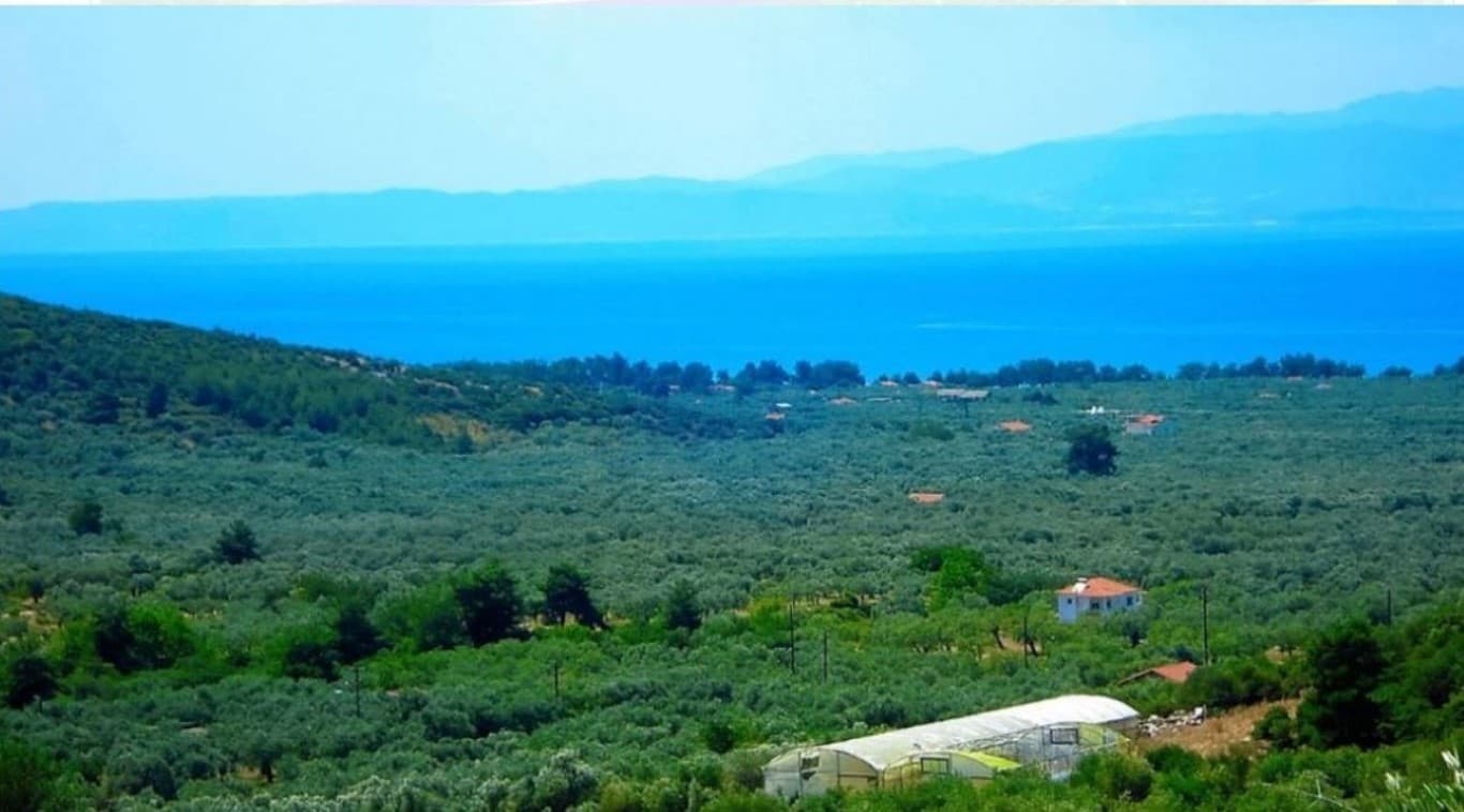 For Sale Land 25000 m² on the island of Thassos