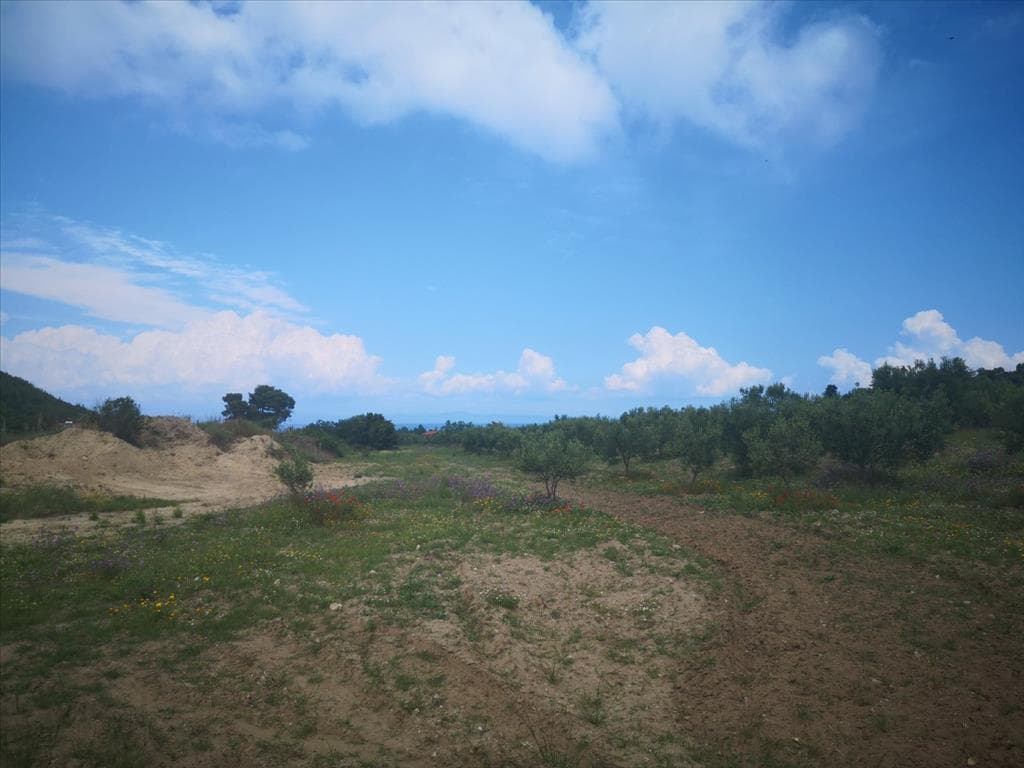 For Sale Land 18500 m² in Kassandra, Chalkidiki