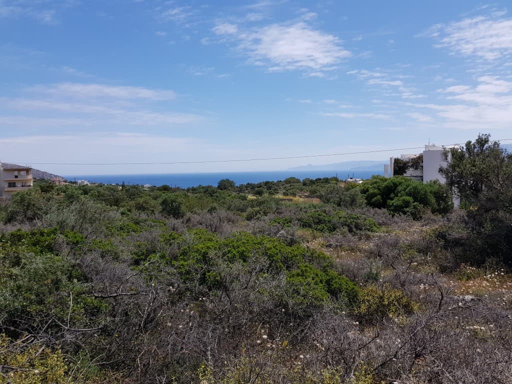 For Sale Land 6000 m² in Crete