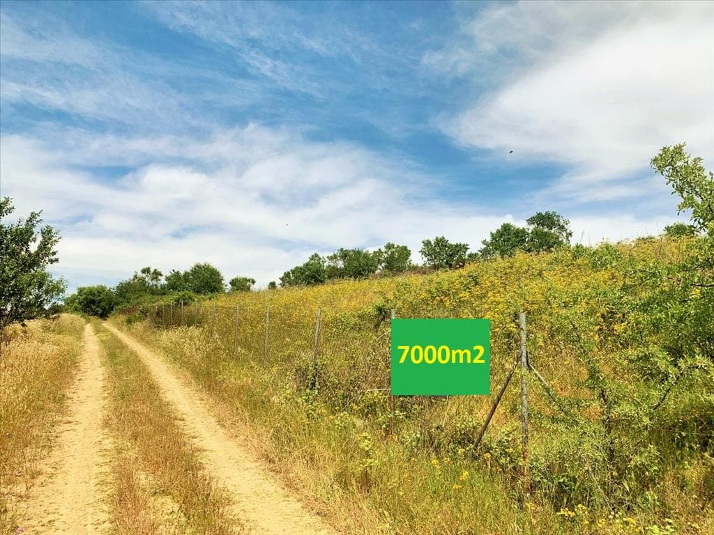 For Sale Land 7000 m² in the suburbs of Thessaloniki