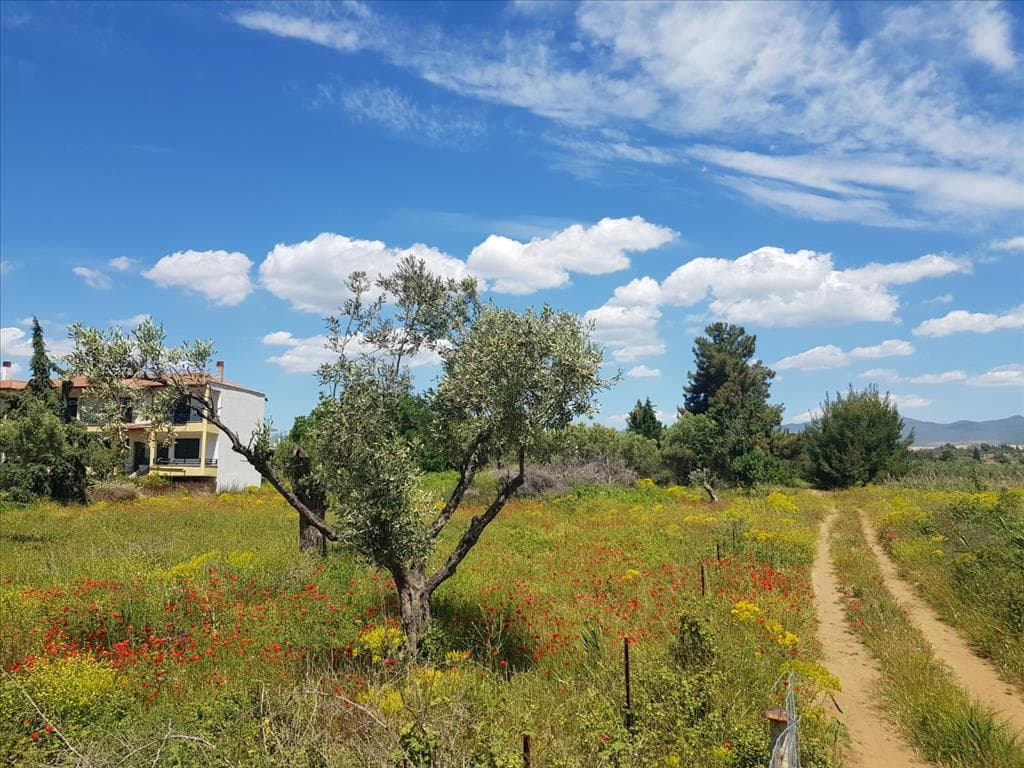 For Sale Land 449 m² in Sithonia, Chalkidiki