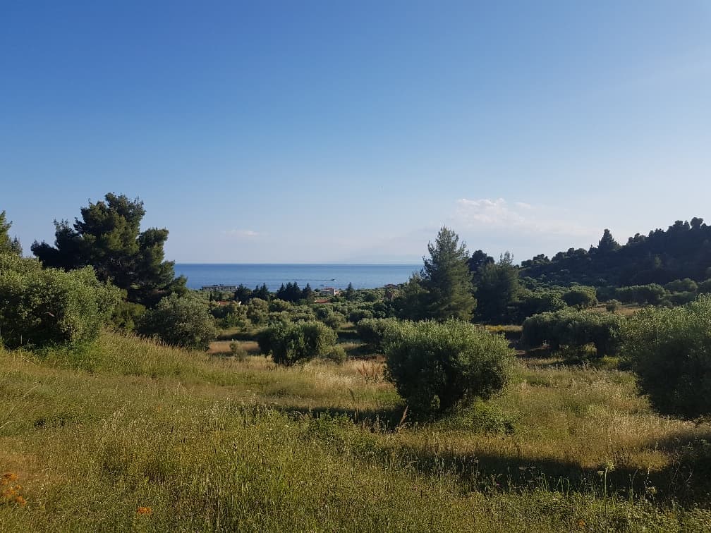 For Sale Land 4500 m² in Kassandra, Chalkidiki