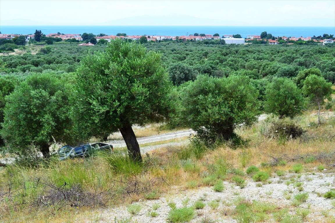For Sale Land 5175 m² in Kassandra, Chalkidiki