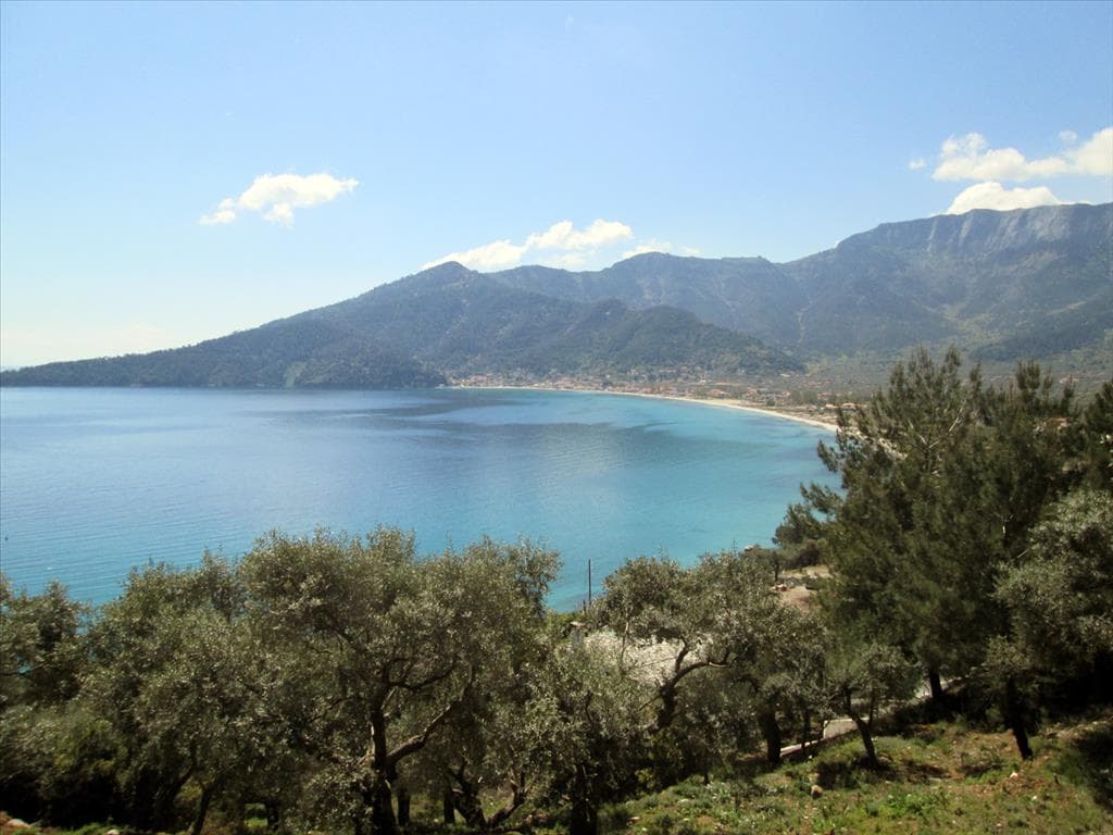 For Sale Land 11700 m² on the island of Thassos