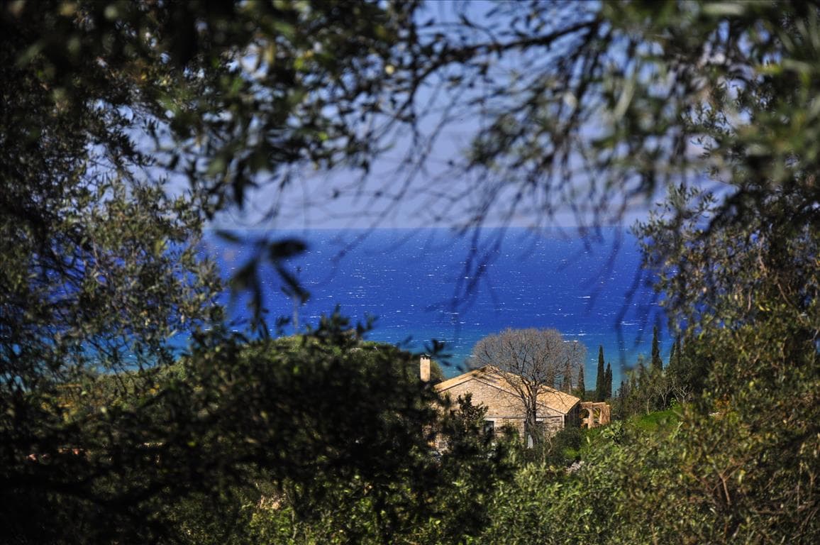 For Sale Land 15000 m² in Corfu