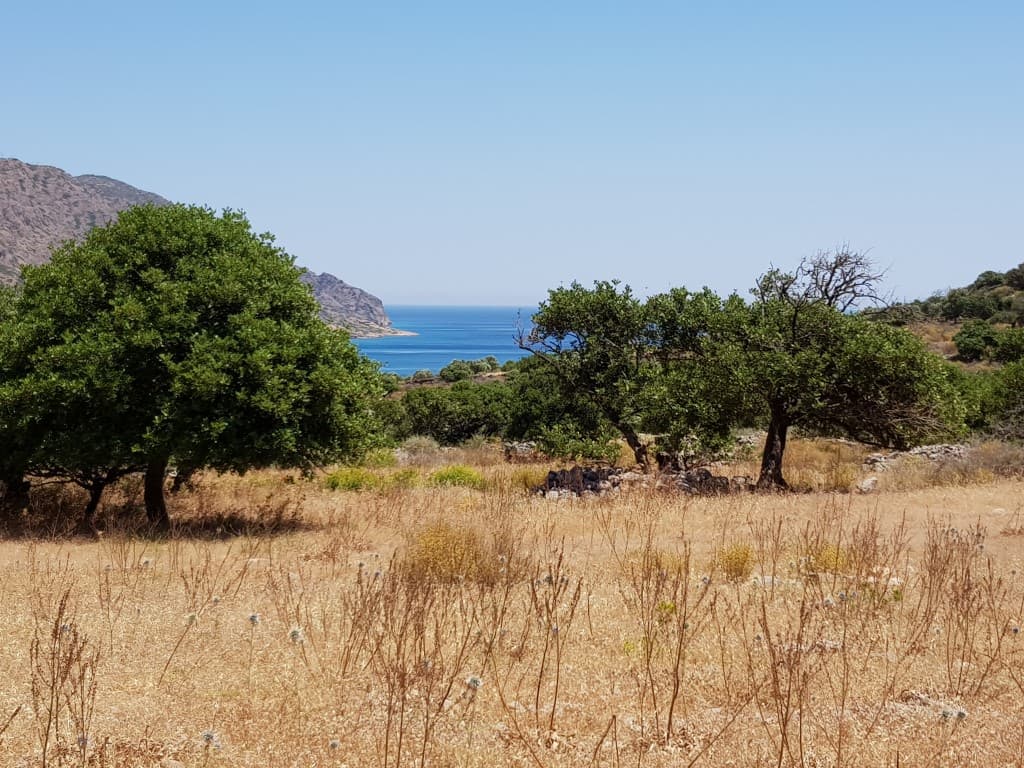 For Sale Land 8000 m² in Crete