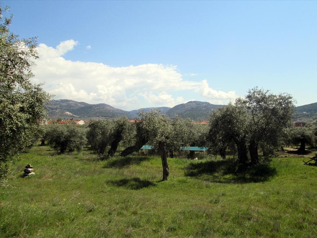 For Sale Land 2995 m² on the island of Thassos