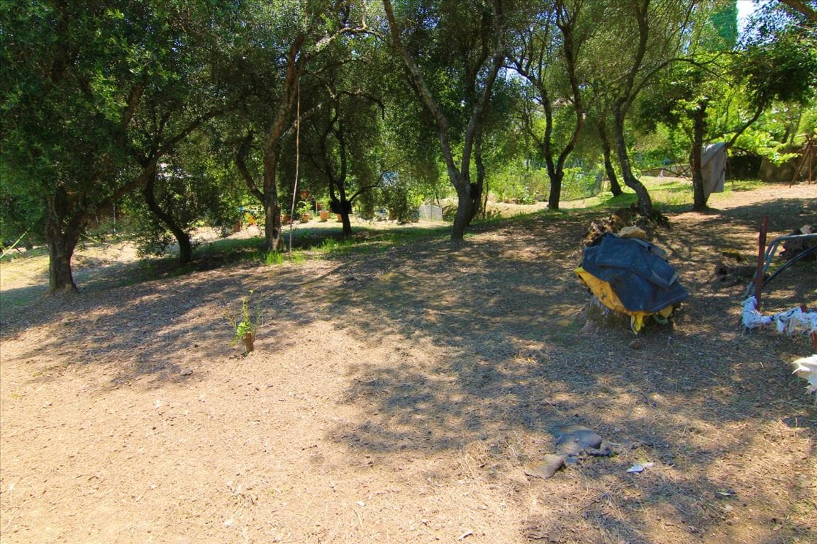 Generous 1350 m² Plot with Building Permission in Corfu