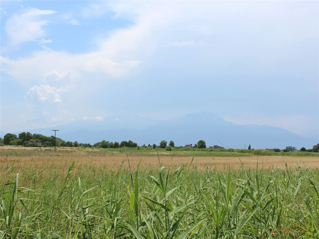 For Sale Land 11165 m² on the Olympic Coast