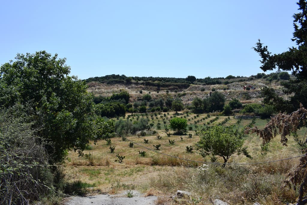 For Sale Land 8500 m² in Crete
