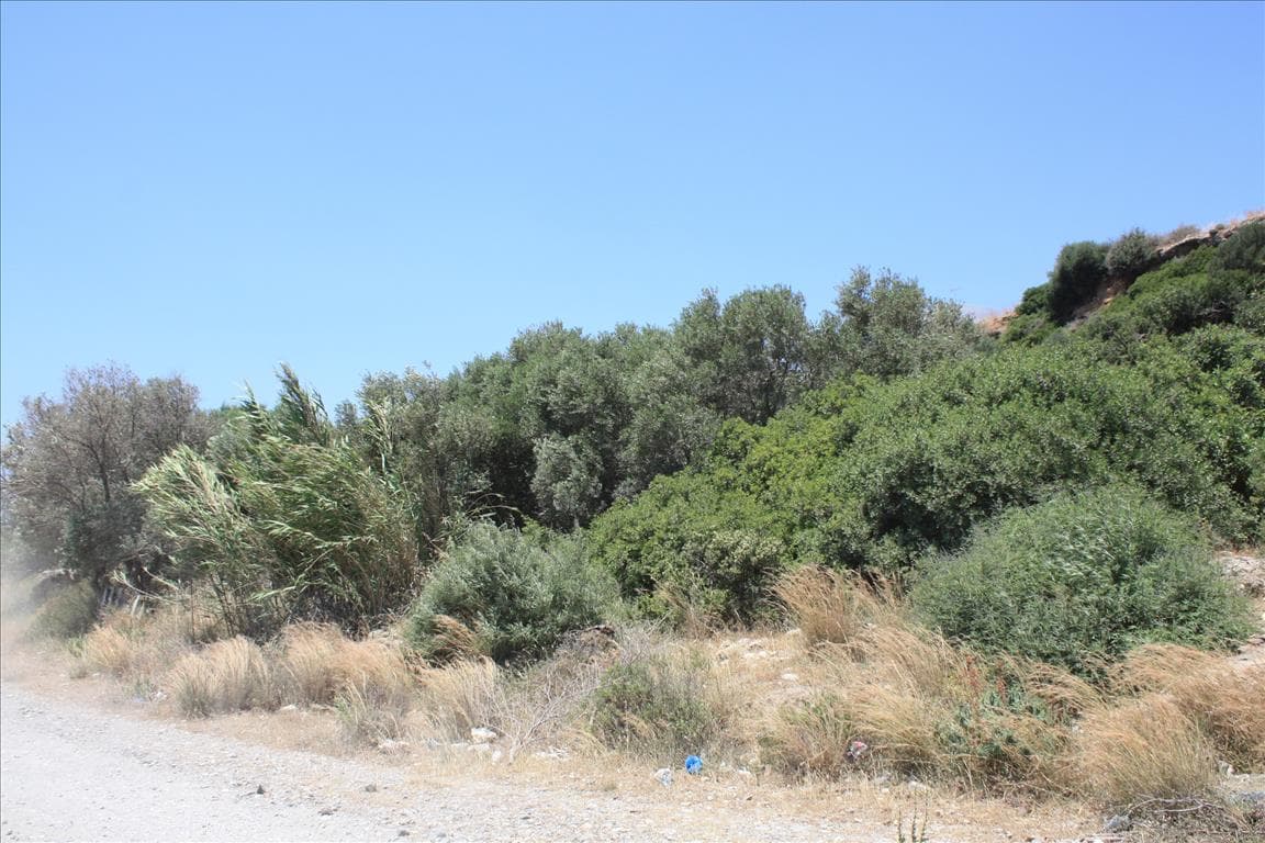 For Sale Land 1000 m² in Crete