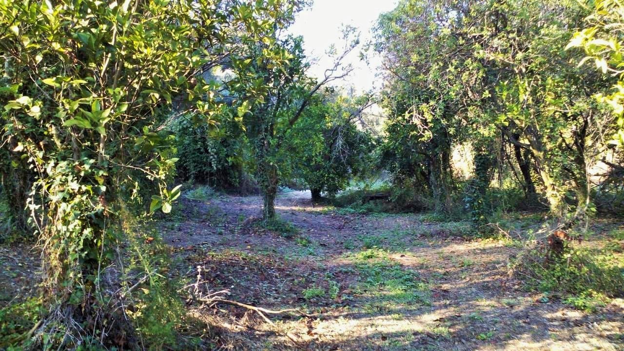 For Sale Land 8104 m² in Corfu