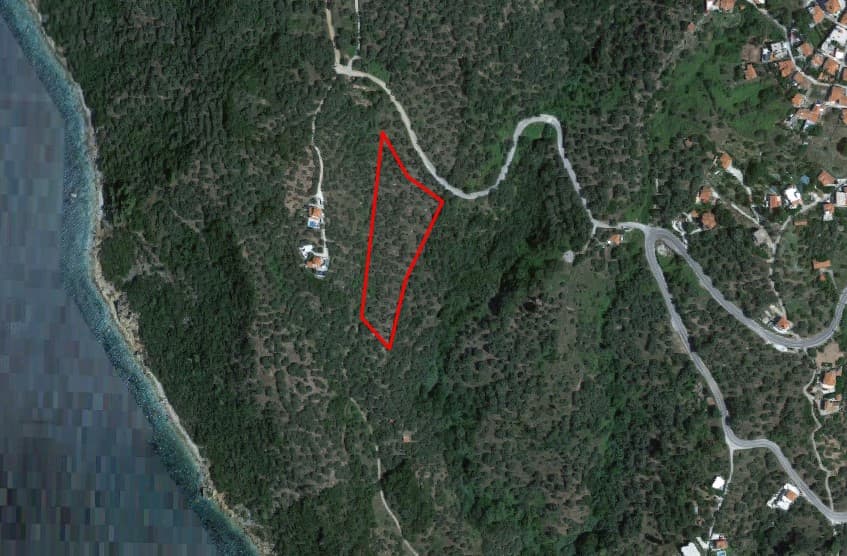 For Sale Land 6000 m² in the Sporades