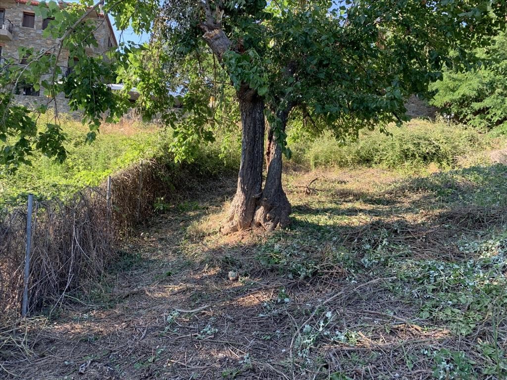 For Sale Land 300 m² in Sithonia, Chalkidiki