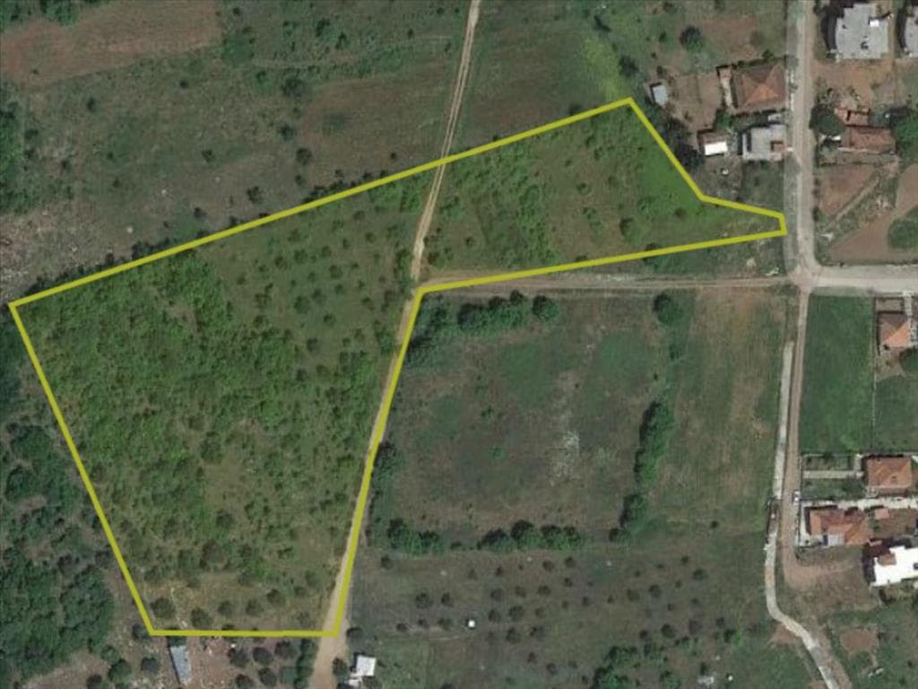 For Sale Land 16500 m² in Western Peloponnese