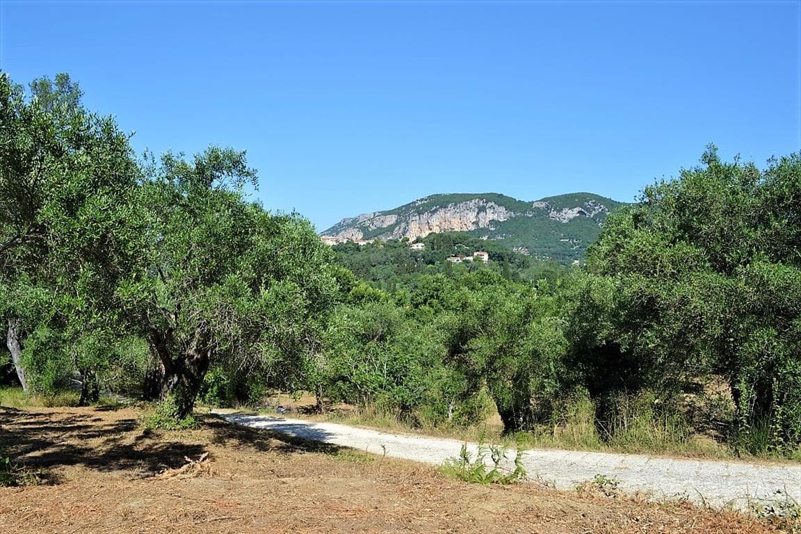 For Sale Land 4130 m² in Corfu