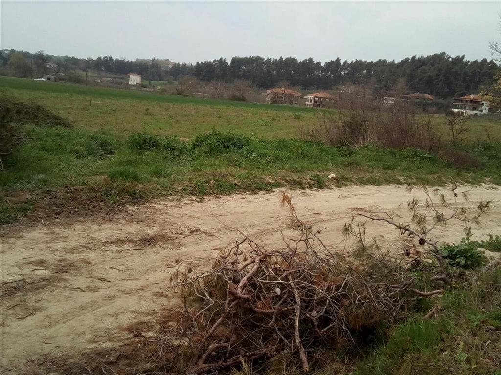 For Sale Land 5100 m² in Kassandra, Chalkidiki