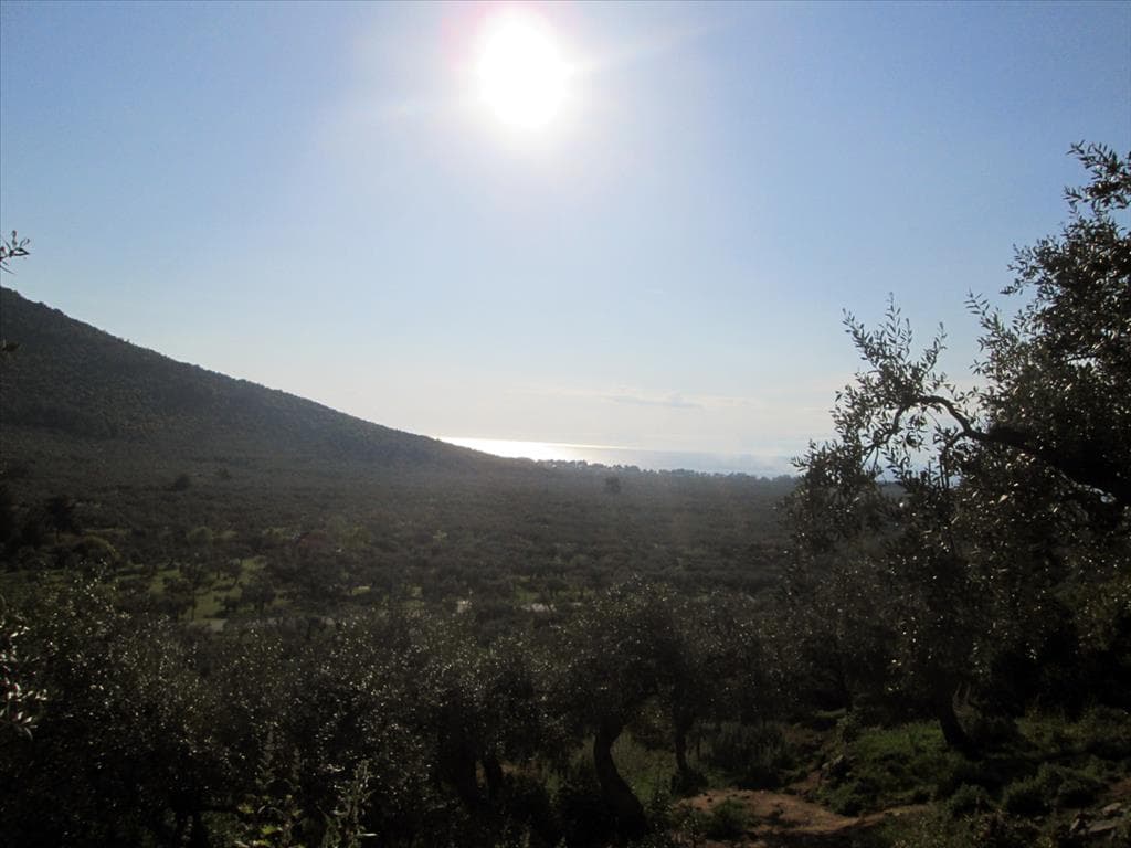 For Sale Land 5365 m² on the island of Thassos