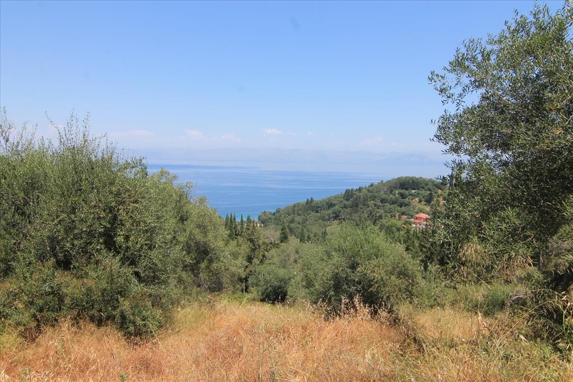 For Sale Land 4000 m² in Corfu